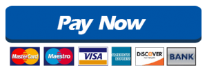 Paypal pay now button